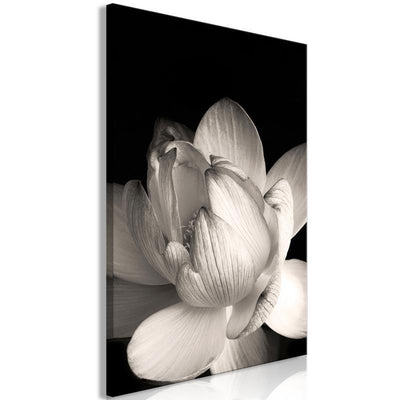 Quadro - Delicacy of Petals in Nature (1-part) - Flower in Black and White