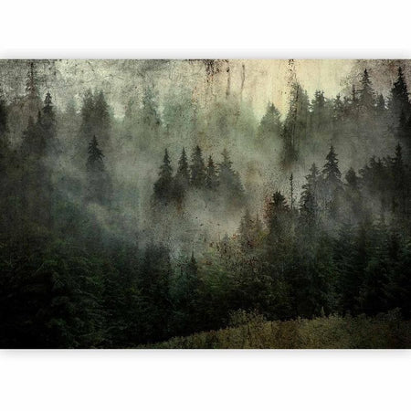 Carta da parati - Misty Beauty of the Forest