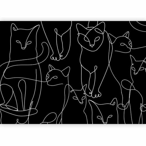 Carta da parati - Cat Habits - First Variant