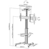 ROLINE CARRELLO TV ,PIVOT FUNCTION, 50 KG, 177.8CM, GRIGIO