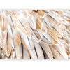 Carta da parati - Close-up of birds wings - uniform close-up on beige bird feathers