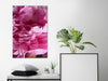 Quadro - Blossom of Beauty (1-part) - Pink Peony Flower Embraced by Nature