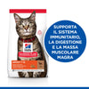 Hill's Mantenimento secco Gatti Adulti agnello