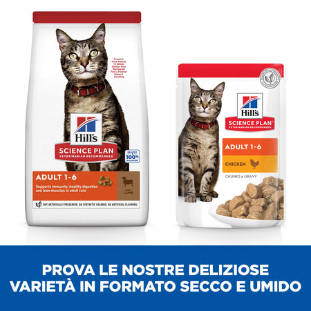 Hill's Mantenimento secco Gatti Adulti agnello