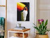 Quadro fai da te - Toucan
