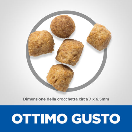 Hill's Mantenimento secco Gatti Adulti agnello