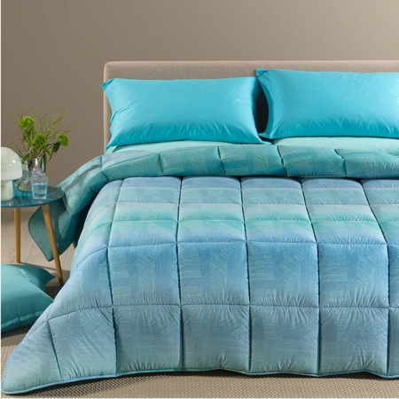 Trapunta singola invernale Caleffi Atlantis