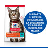 Hill's Mantenimento secco Gatti Adulti tonno
