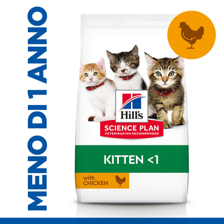 Hill's Mantenimento secco Gatti Kitten pollo