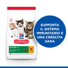 Hill's Mantenimento secco Gatti Kitten pollo