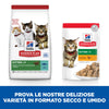 Hill's Mantenimento secco Gatti Kitten tonno
