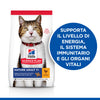 Hill's Mantenimento secco Gatti Mature pollo