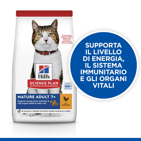 Hill's Mantenimento secco Gatti Mature pollo