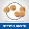 Hill's Mantenimento secco Gatti Mature pollo
