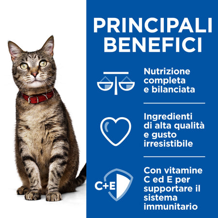 Hill's Healthy Cuisine spezzatino Gatti Adulti Multigusto 12x80 gr