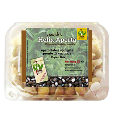 LUMACHE Monacella HELIX APERTA da Gastronomia Spurgate Pronte da Cucinare 100% Italiane + Ricettario Incluso