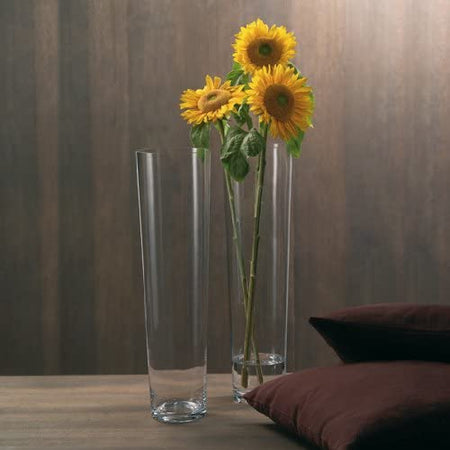 Vaso a cono in vetro trasparente per piante e fiori da interno h 70 cm