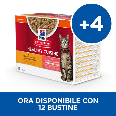 Hill's Healthy Cuisine spezzatino Gatti Adulti Multigusto 12x80 gr