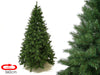 Albero stella alpina - 360cm