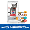 Hill's Sterilised secco Gatti Kitten pollo