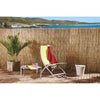 ARELLA ARELLE CANNA CANNE BAMBU STUOIA CANNUCCIATA MT 100 X 300 CANNETO STUOIE
