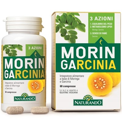 Meritene budino frutta 4x100g