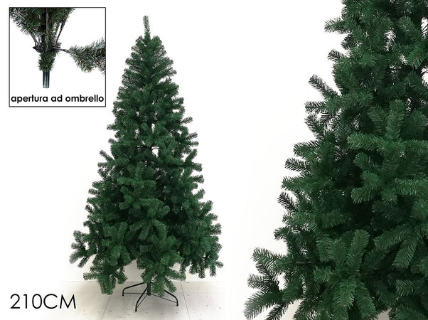 Albero Pollino 210cm