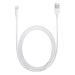 CAVO LIGHTNING A USB 2M APPLE MD819ZM/A