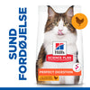 Hill's Perfect Digestion secco Gatti Adulti pollo