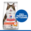 Hill's Perfect Digestion secco Gatti Adulti pollo