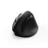 Mouse EMW-500 Ergonomic