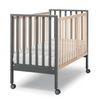 Culla Evolution 6 in 1 Erbesi con tessile
