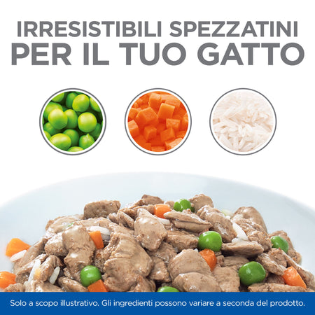 Hill's Healthy Cuisine spezzatino Gatti Kitten pollo e verdure 80 gr