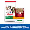 Hill's Healthy Cuisine spezzatino Gatti Kitten pollo e verdure 80 gr
