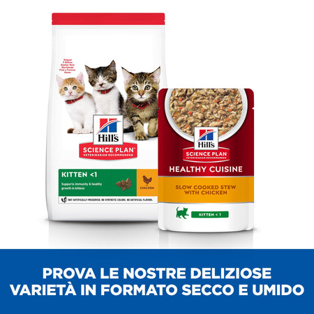 Hill's Healthy Cuisine spezzatino Gatti Kitten pollo e verdure 80 gr