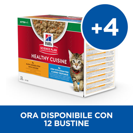 Hill's Healthy Cuisine spezzatino Gatti Kitten pollo e verdure 80 gr