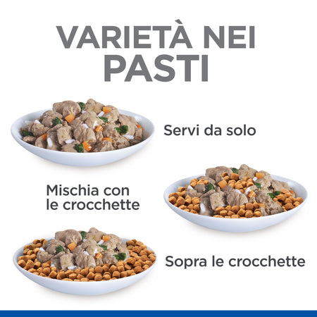 Hill's Healthy Cuisine spezzatino Gatti Adulti pollo e verdure 80 gr