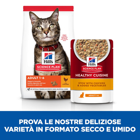 Hill's Healthy Cuisine spezzatino Gatti Adulti pollo e verdure 80 gr