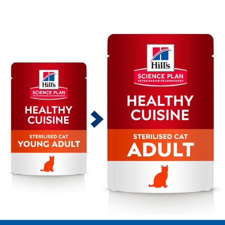 Hill's Healthy Cuisine Sterilised spezzatino Gatti Adulti pollo e verdure 80 gr