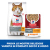 Hill's Healthy Cuisine Sterilised spezzatino Gatti Adulti pollo e verdure 80 gr