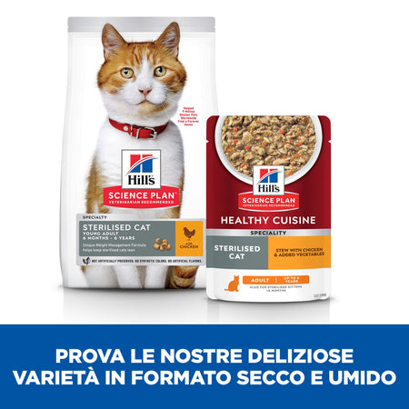 Hill's Healthy Cuisine Sterilised spezzatino Gatti Adulti pollo e verdure 80 gr