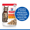 Hill's Mantenimento umido Gatti Adulti pollo 85 gr