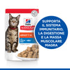 Hill's Mantenimento umido Gatti Adulti pesce oceanico 85 gr