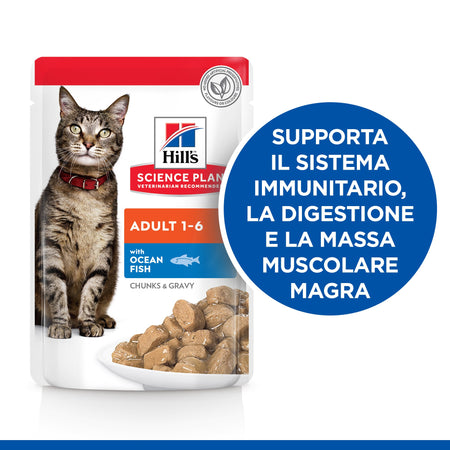 Hill's Mantenimento umido Gatti Adulti pesce oceanico 85 gr