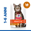 Hill's Mantenimento umido Gatti Adulti tacchino 85 gr
