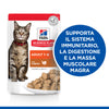 Hill's Mantenimento umido Gatti Adulti tacchino 85 gr