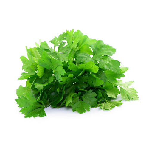 Semi prezzemolo gigante di napoli sementi italiano aromatiche piante gr 10