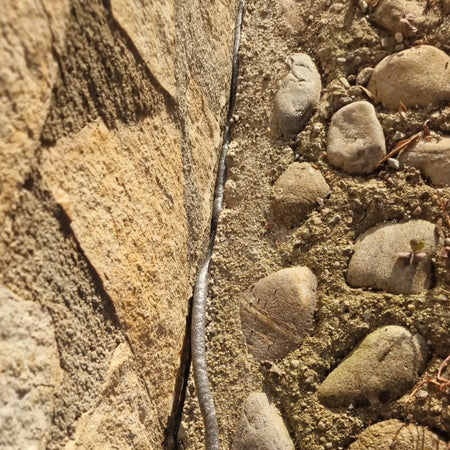 Saratoga Joint filler 5mt profilo di riempimento di giunti per interni ed esterni