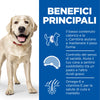 Hill's Light secco Cani Adulti Large pollo 12 kg