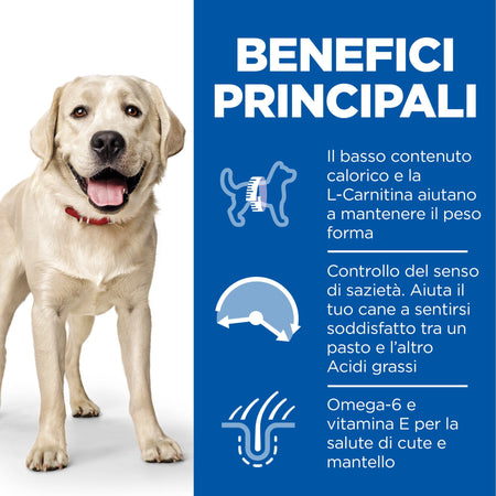 Hill's Light secco Cani Adulti Large pollo 12 kg